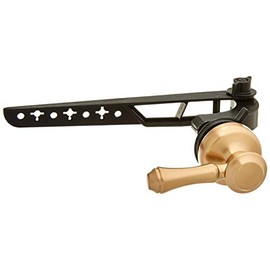 Delta Faucet 79760-CZ Cassidy Tank Lever-Standard Handle, Champagne Bronze
