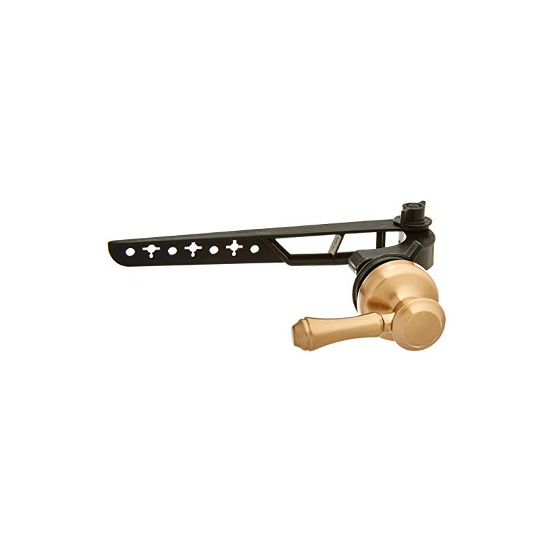 Delta Faucet 79760-CZ Cassidy Tank Lever-Standard Handle, Champagne Bronze