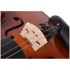 Acoustic Violin 4/4, Full Size Violin, Violin Kit with Case,