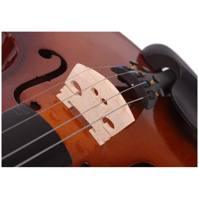 Acoustic Violin 4/4, Full Size Violin, Violin Kit with Case,