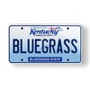 Bluegrass Kentucky State License Plate Style Magnet for Car Fridge