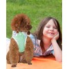 Topkins Dog Dresses, Dog Sports Skirt for Small Medium Dogs