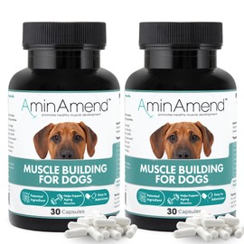 AminAmend Muscle Support Dog Supplements for Large Breed (21lbs+) with CaHMB & Vitamin D3 – Supports Strength, Mobility & Daily Activity for All Ages & Senior Dog – (30 Capsules, 2-Pack)