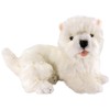 Carl Dick Westie, West Highland Terrier lying 12.5 inches, 32cm,