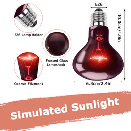 HARTOMPET 60W Infrared Red Heat Lamp – Perfect Basking Spot Bulb for Lizards, Bearded Dragons, Snakes & Chickens; Efficient Red Heat Emitter for Brooders and Terrariums, E26 Base | 2 Pack