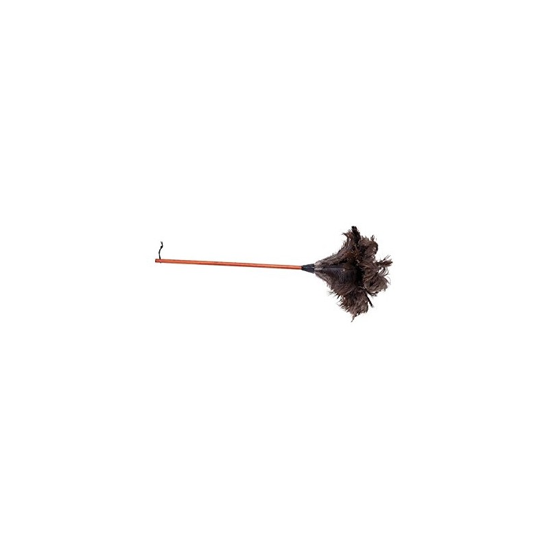 Redecker Ostrich Feather Duster with Varnished Wooden Handle, 35-3/8-Inches