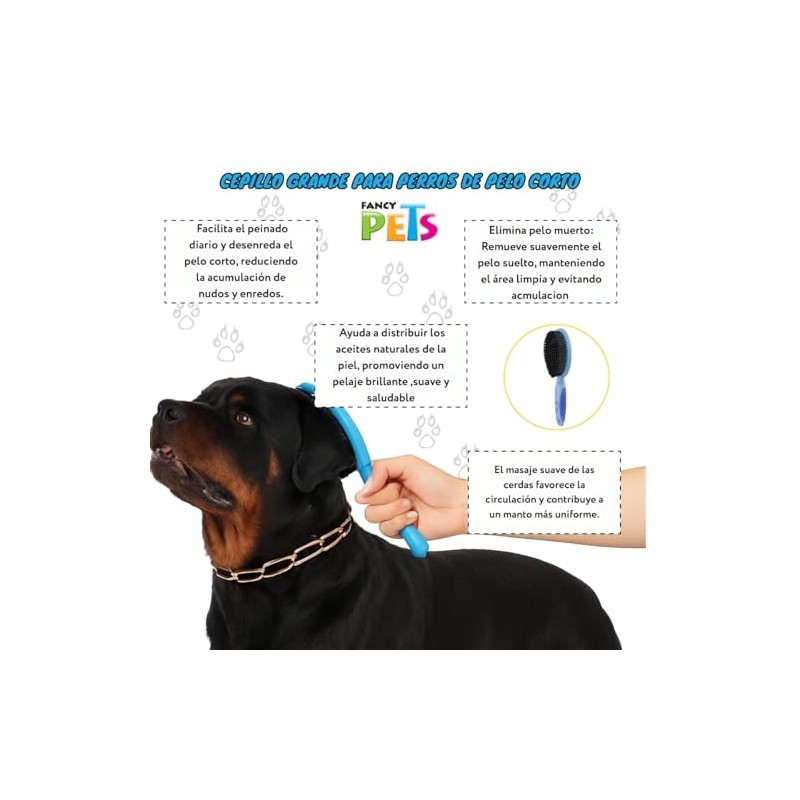 Fancy Pets Cepillo Grande para Perros de Pelo Corto con