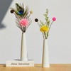 Ericotry 22CM / 8.7Inch Height Glass Flower Vase Desktop Minimalist