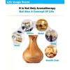 Smart WiFi Wireless Essential Oil Aromatherapy Diffuser, Compatible with Alexa