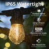 Wintergreen Lighting 15ft S14 Shatterproof Outdoor String Lights, 10 Edison