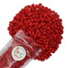 FirstChoiceCandy French Burnt Peanuts Classic Red Old Fashioned Candy (5