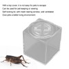 Square Insect Breeding Box Cricket Spider Reptile Insect Square Acrylic