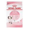 Royal Canin Croquetas para Gatos, Kitten, 3.17 kg (El empaque