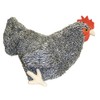 Adore 12" Standing Roxy The Hen Chicken Plush Stuffed Animal