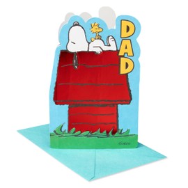 American Greetings Fathers Day Card for Dad (A Day To Relax)