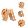 Baluue Ear Piercing Model Display Platform Accurate Human Ear Canal
