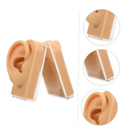 Baluue Ear Piercing Model Display Platform Accurate Human Ear Canal Design for Earring Training