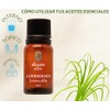 OLEUM VITAE Aceite Esencial de Limoncillo. Hierba Limón. Cymbopogon Flexuosus.