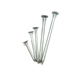 Clout Nails Galvanised Large Head (200g Pack) Roofing Felt Nail Tacks Sheds (50mm - 200g (Approx 86 Nails))