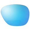 Reptile Suncloud Sentry Polarized Sunglass Replacement Lenses Blue Mirror Bi-Focal