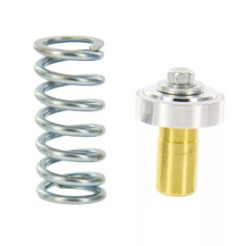 Industrial Service Solutions Aftermarket Sullair 250026-758 Minimum Pressure Check Valve Repair Kit | Replac