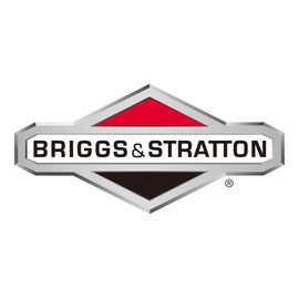 Briggs & Stratton 704310 Gun