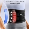 FREETOO Ergonomic Back Support Belt for Men Women Lower Back