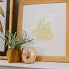 Bridgewater Candle Sweet Grace Collection Candle #011