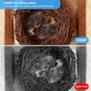 Bird House with Camera, 1080p HD Bird Houses for Outside
