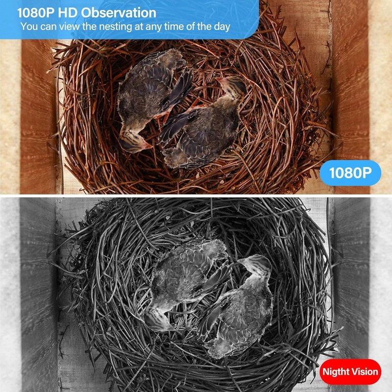 Bird House with Camera, 1080p HD Bird Houses for Outside