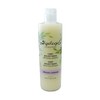 Algologie International Shampoo Serum fitomarino, Exfoliating Anticaspa, with Honey and