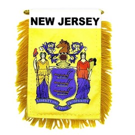 Wholesale lot 12 State New Jersey Mini Flag 4"x6" Window Banner w/suction cup