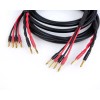 Canare 4S11 Star Quad 11 AWG BiWire Speaker Cable 1