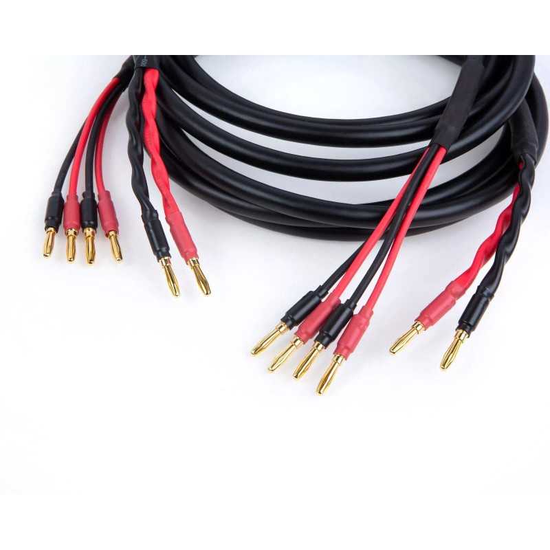 Canare 4S11 Star Quad 11 AWG BiWire Speaker Cable 1