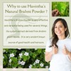 Havintha Natural Brahmi Powder for Hair Growth and Scalp Treatment