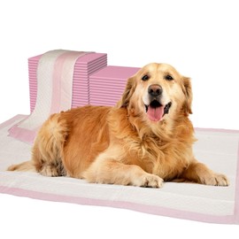 RAYGARD Puppy Pee Pads 24"x36" - 25 Count Super Absorbent Leak-Proof Disposable Dog Pee Training Pads for Puppies Dogs Cats and Rabbits