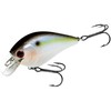 LUCKY CRAFT Fat CB BDS2, Fishing Lure, Crankbait (183 Pearl