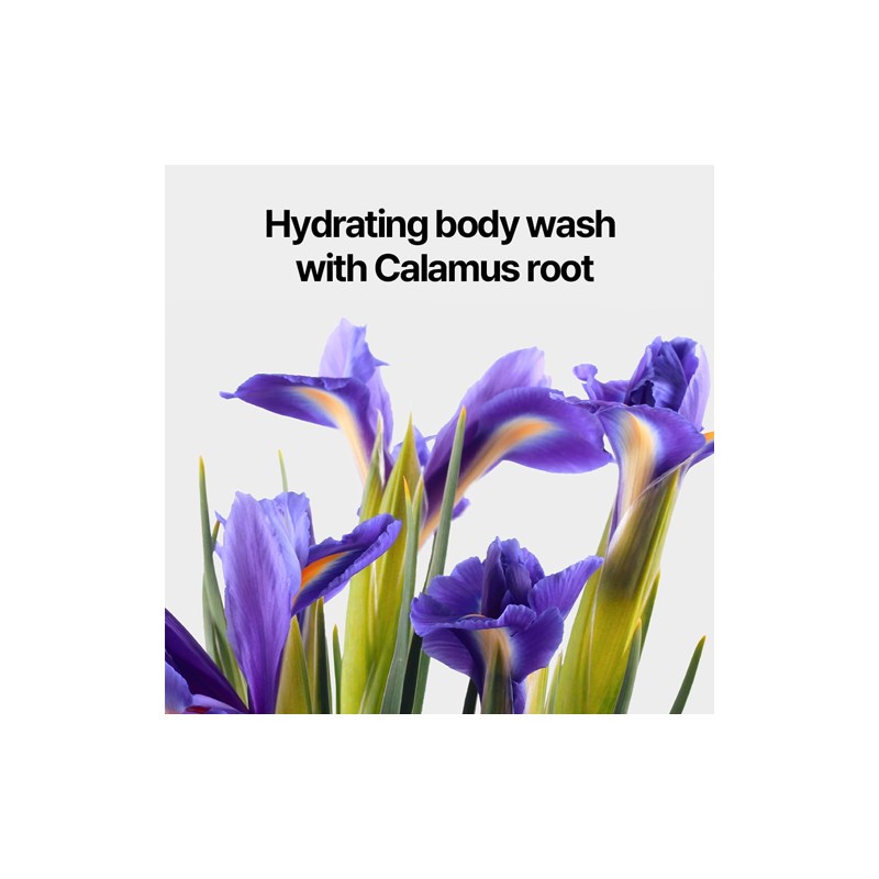 Pyunkang Yul [Pyunkang Yul]Body Wash Dancheong 350ml