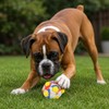 Juguete para Perro FIFA Hyper Wacky Bounce – Resistente, Interactivo,