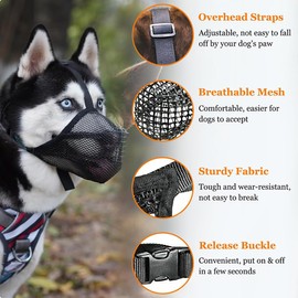 Muzzle for Dogs, Muzzle for Medium Dogs, Muzzle for Large Dogs, Dog Muzzle with Rounded Mesh and Adjustable Loop, Dog Muzzle to Prevent Eating, Biting, Chewing (L)