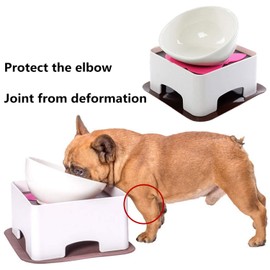 JYHY Bulldog Bowl Ceramic Dog Food Bowl - Cat Dish Wide Mouth Dog Bowl Pet Sterile Tilted Pet Feeder with Anti-Skid Rubber Mat (White M/1.5 Cup)