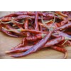 30 Semillas Chile De Arbol Nuevas Germinan Organicas No Gmo