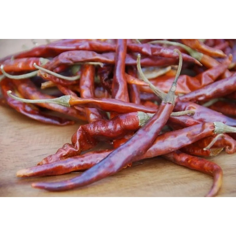 30 Semillas Chile De Arbol Nuevas Germinan Organicas No Gmo