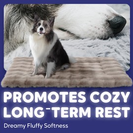 Mora Pets Cat Beds for Indoor Cats Dog Crate Pad Fluffy Dog Bed Mat for Small Dogs Kitten Warm Washable Pet Mat for Dog Cages 24 inch Kennel Pad Pillow Flat Cushion Brown 24 x 18