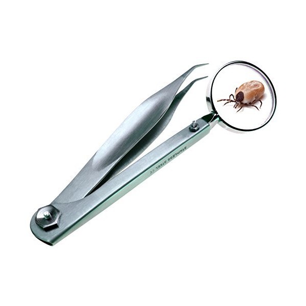 Wittex Tick Tweezers with Magnifying Glass Innovation.
