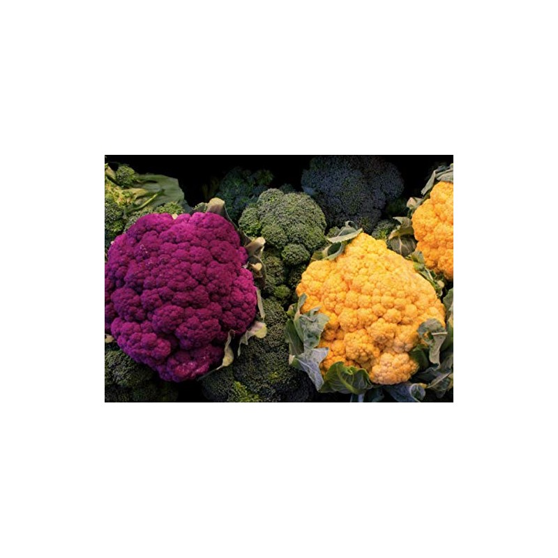 NIKA SEEDS - Seeds Vegetable Cauliflower Cabbage Mix - 200
