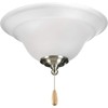 Progress Lighting 2-Light Ceiling Fan Light, Trinity Collection, Indoor, P2628-01WB,
