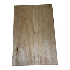 Exotic Wood Zone's Poplar Guitar Body Blank | Explorer Electric Guitar Body (Premium Poplar, 21" x 14" x 2")