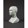 3dtotal Figure Collection Female Planar Bust: 6.4 Inch Tall Head