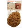 ProPlus Natural Painting Sponge Coarse Texture, Small